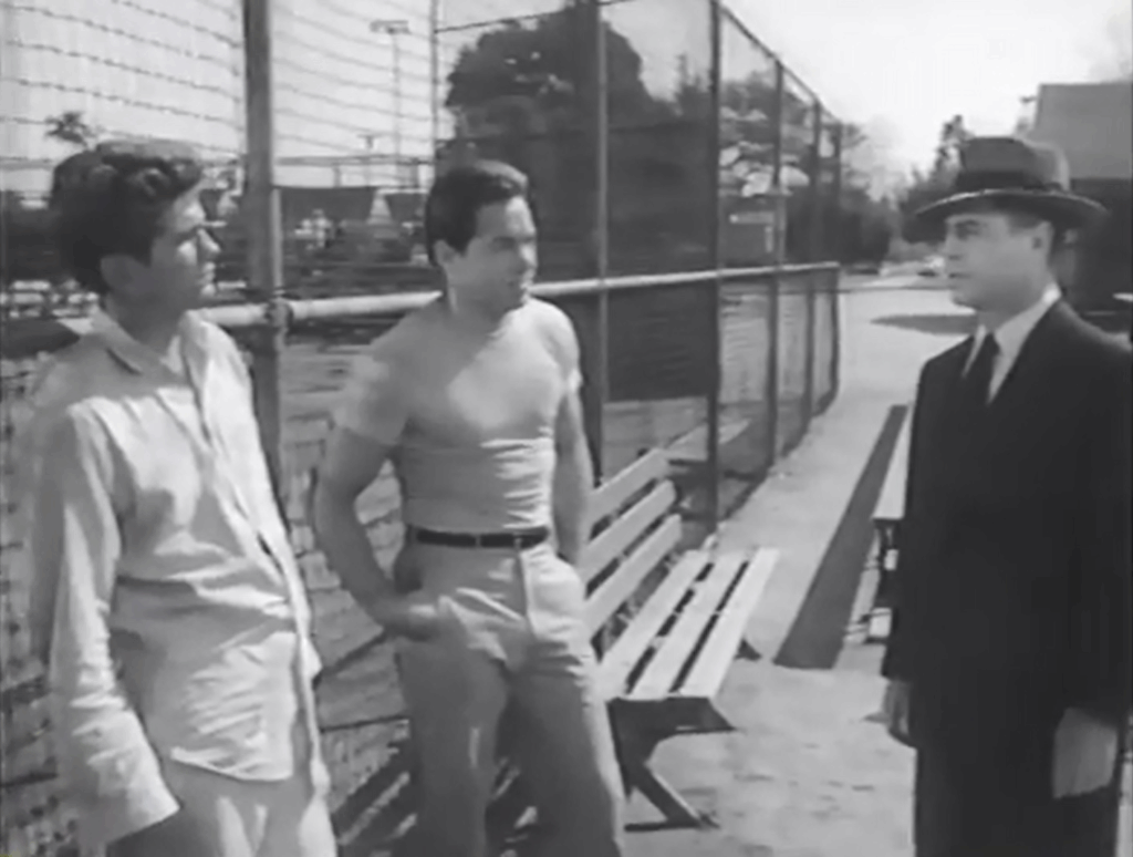 I was a teenage werewolf